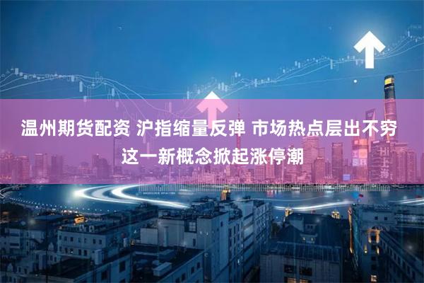 温州期货配资 沪指缩量反弹 市场热点层出不穷 这一新概念掀起涨停潮